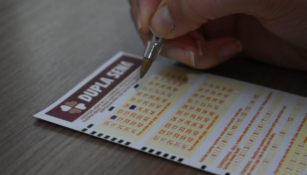 Foto: Rafael Fioravanti/PIRANOT