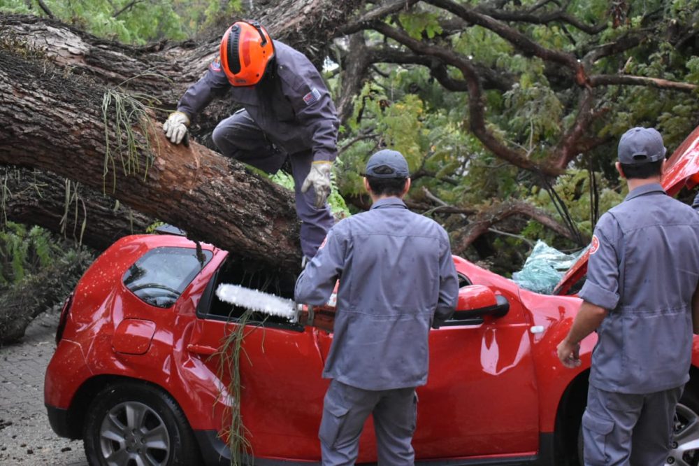 Homem morto após ser atingido por árvore em Piracicaba é identificado