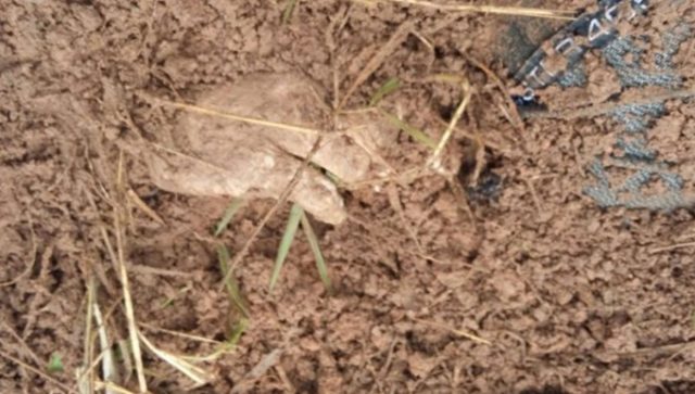 Em menos de 24h, dois homicídios são registrados em Rio Claro Rio Claro