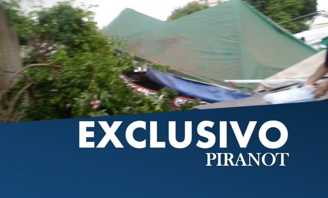 FOTOS: vendaval causa quedas de árvores e morte em Piracicaba (SP)