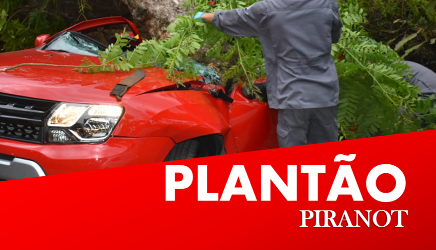 Homem morre após árvore cair sobre carro em Piracicaba (SP)