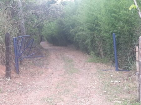 Após ser torturada pelo marido, mulher se joga no Rio Piracicaba e foge Após ser torturada pelo marido, mulher se joga no Rio Piracicaba e foge