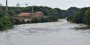 Foto: Wagner Romano/PIRANOT