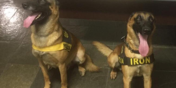 Foto: Canil da Polícia Militar