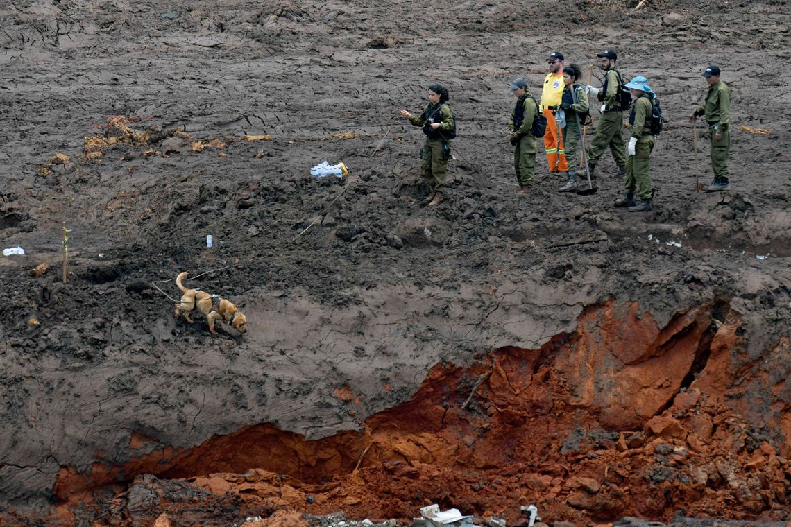 No 7º dia após desastre de Brumadinho, esperança diminui e número de vítimas aumenta