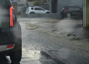 Wagner Romano/Jornal PIRANOT