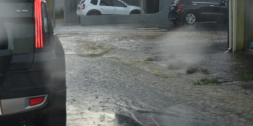 Wagner Romano/Jornal PIRANOT