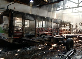 Foto: Wagner Romano/Jornal PIRANOT