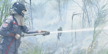 Foto: Wagner Romano / Jornal PIRANOT