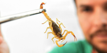 Foto: Divulgação/Ministério da Saúde