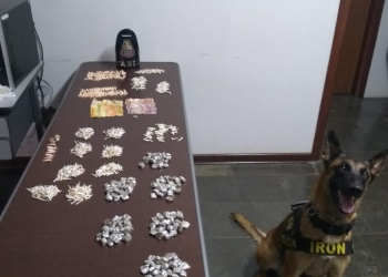 Foto: Canil - Polícia Militar