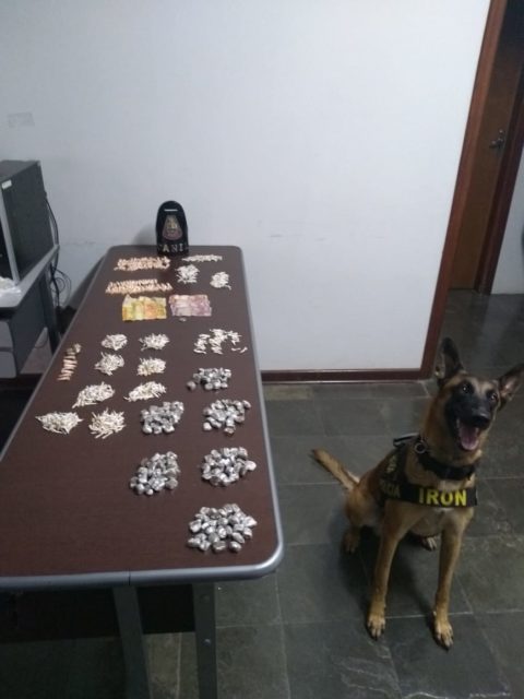 Canil da PM apreende dois menores de idade e 926 porções de drogas em Piracicaba (SP)
