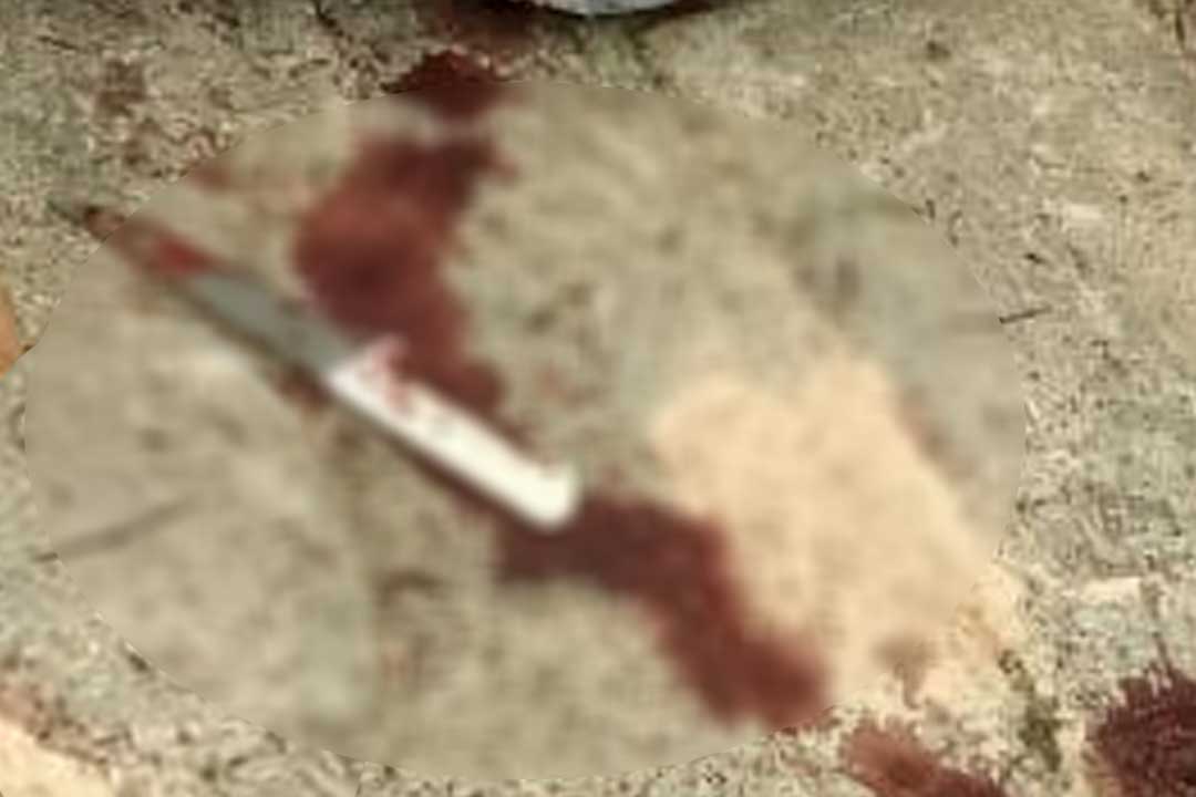 Idosa de 78 anos é morta a facadas dentro de casa