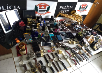 Foto: Polícia Civil