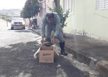 Foto:  Wagner Morente