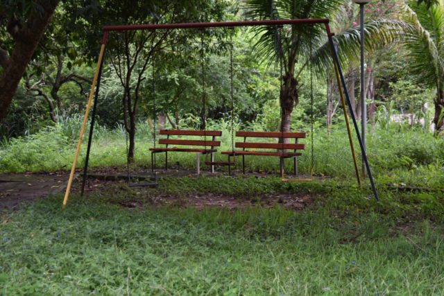 Moradores do bairro Nhô Quim, em Piracicaba, reclamam de área verde abandonada