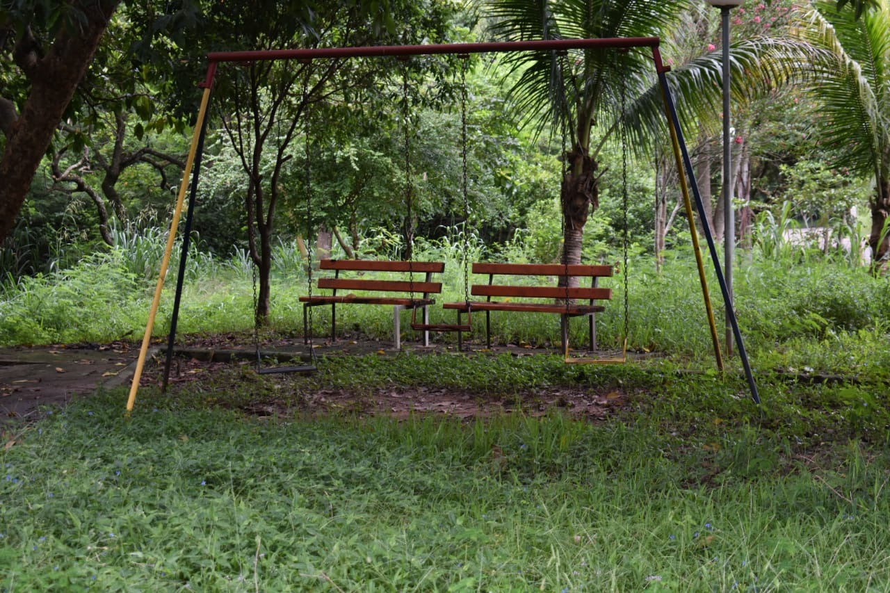 Moradores do bairro Nhô Quim, em Piracicaba, reclamam de área verde abandonada