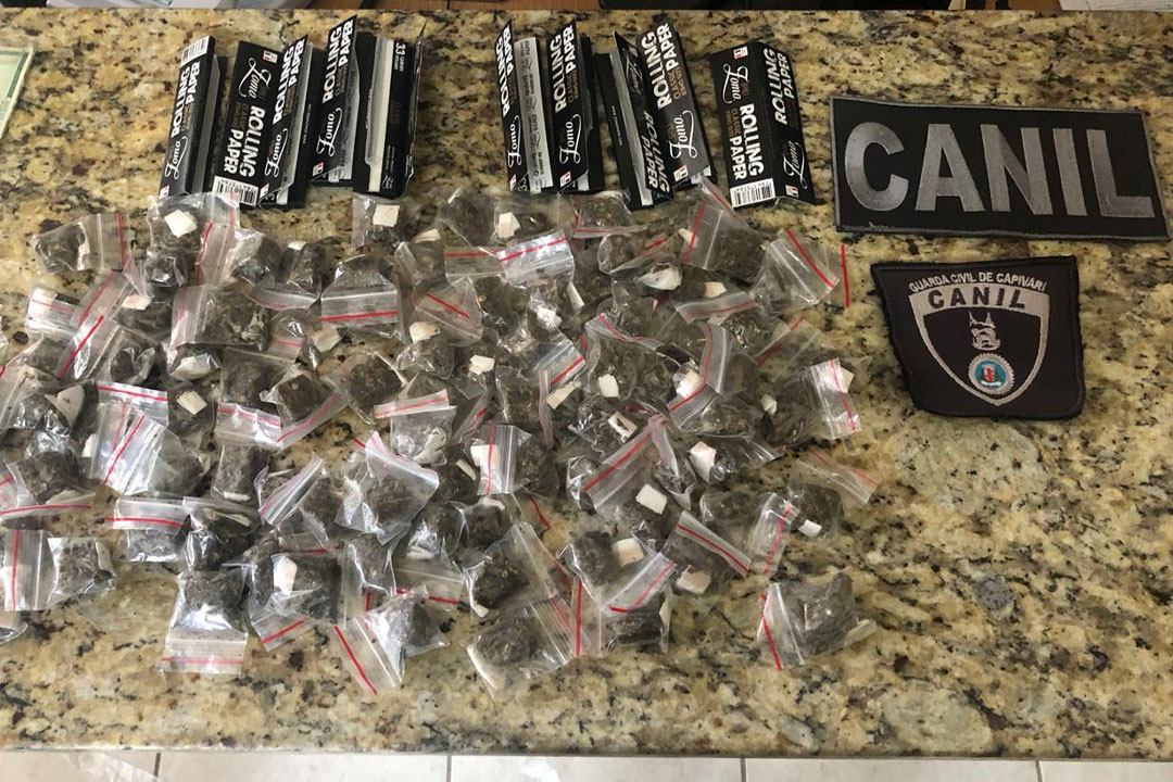 Guarda Civil prende suspeito de tráfico e drogas são apreendidas