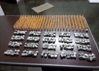 Foto: Guarda Civil Municipal