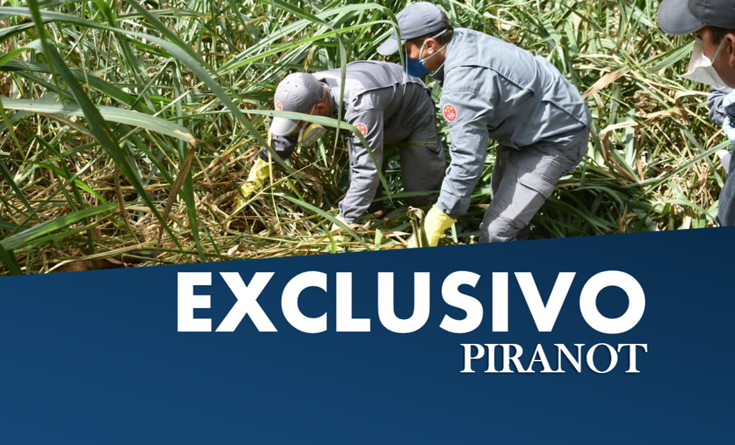 Homem é encontrado morto ao lado da Rodovia do Açúcar, em Piracicaba