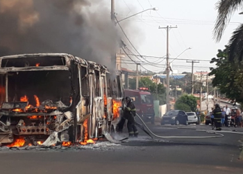 Foto: Suzely Guilherme