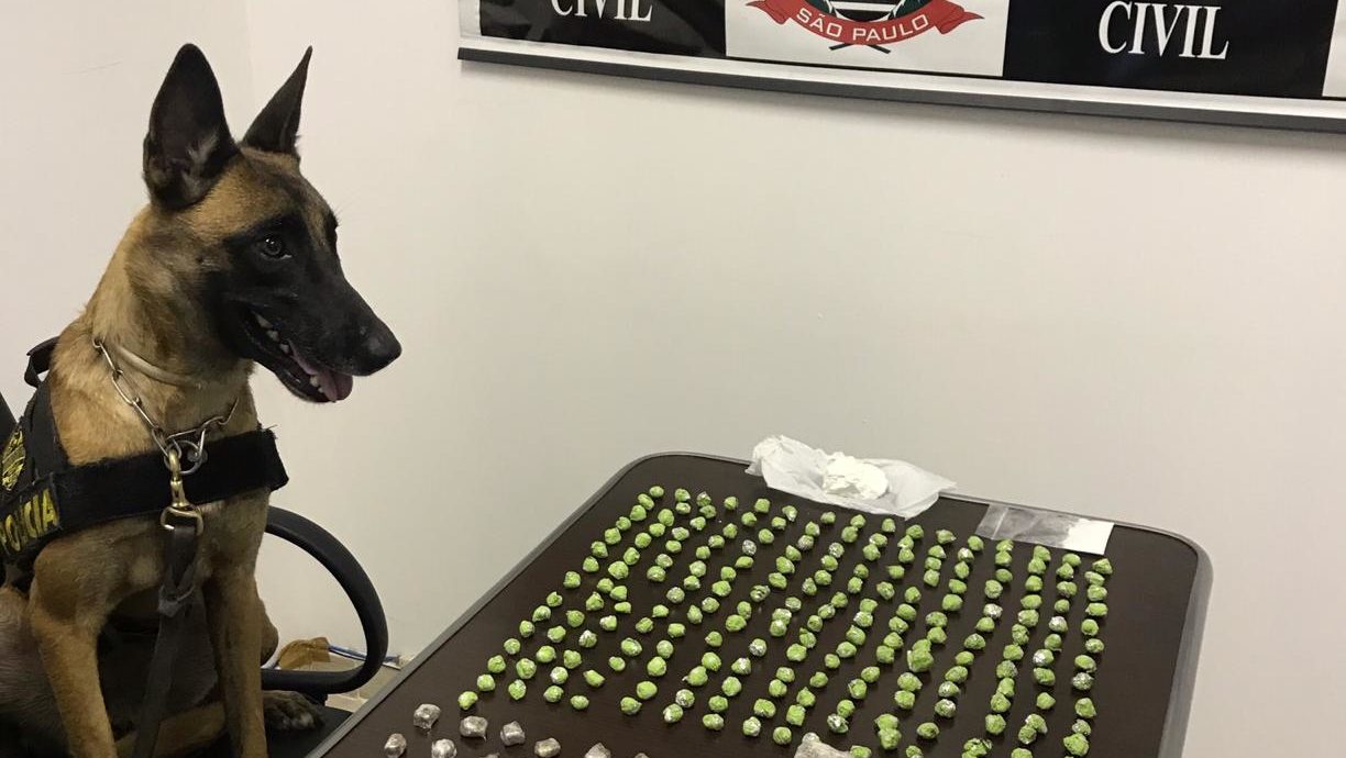 Polícia Civil prende traficante de 26 anos em Piracicaba