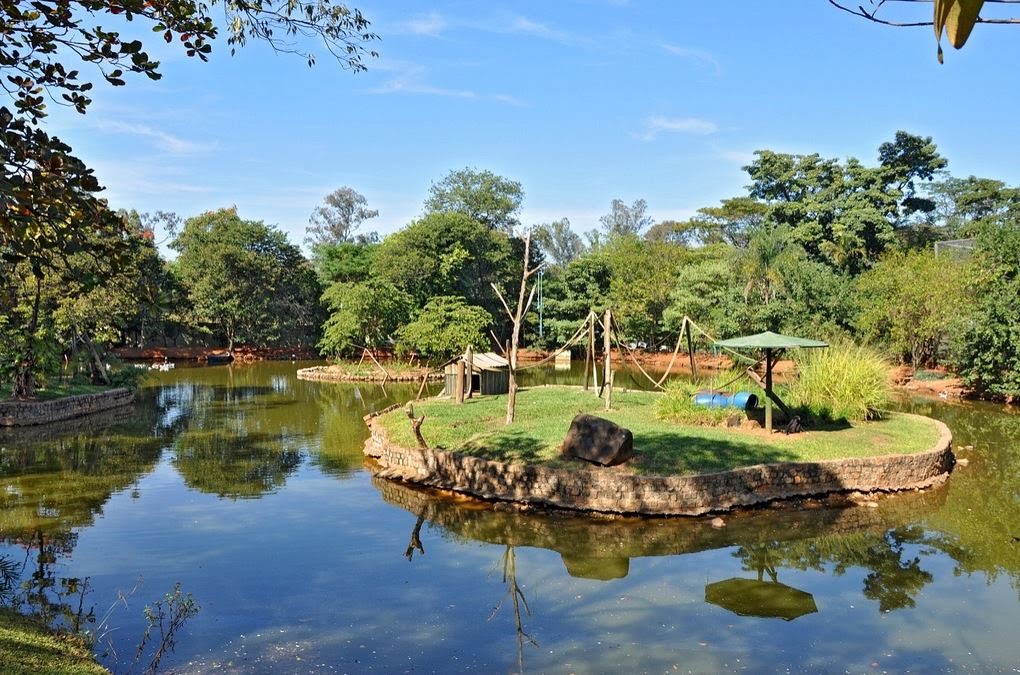 Recintos do Zoológico Municipal de Piracicaba serão reformados