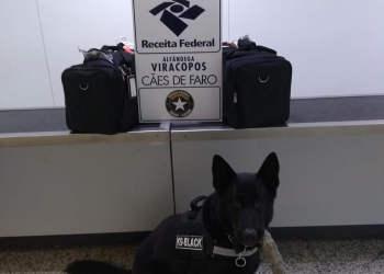 Foto: Polícia Federal