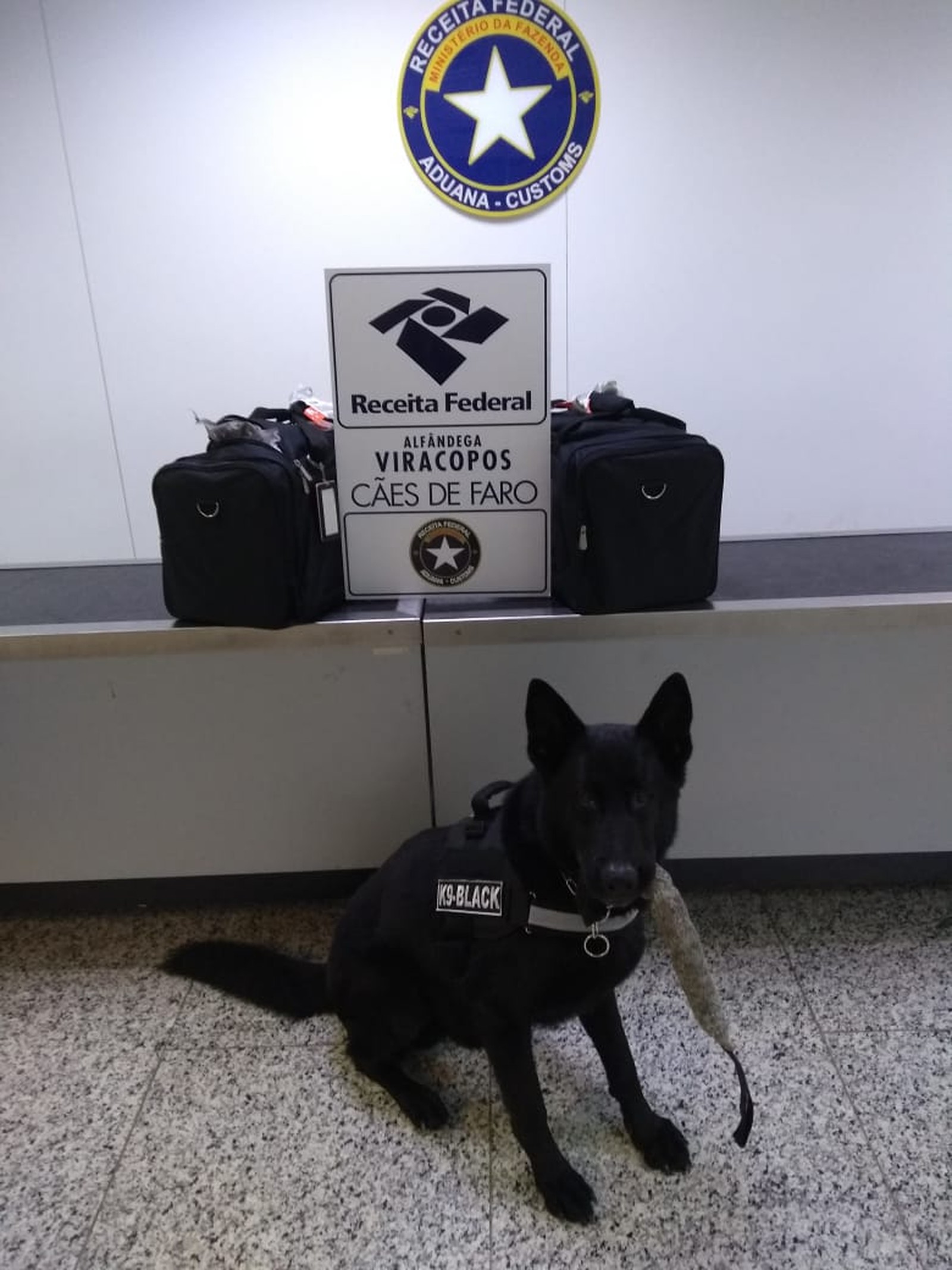 Em Campinas, cocaína avaliada em R$ 10 milhões é apreendida em Viracopos