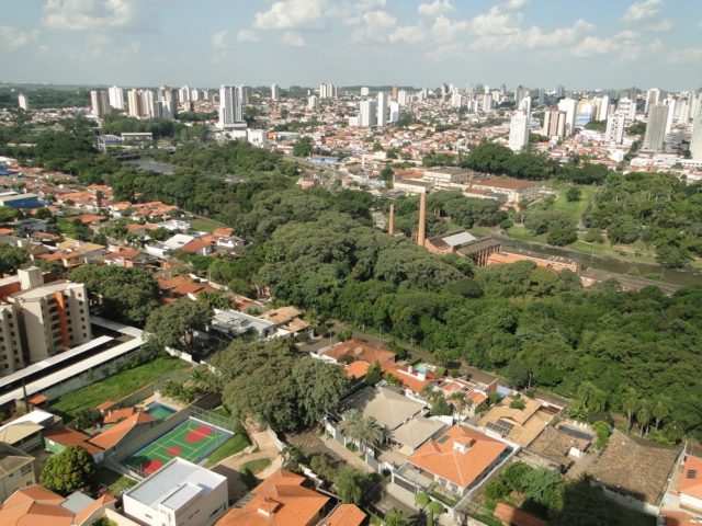 Prefeitura de Piracicaba lança concurso para escolher árvore símbolo do Jardim Botânico