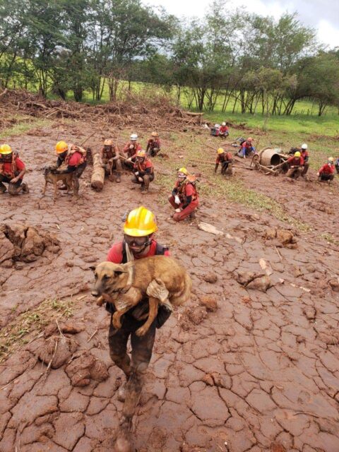 corpo de bombeiros