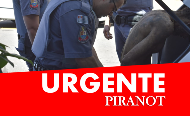 Indivíduo é preso pela PM após tentar furtar imóvel no Centro de Piracicaba