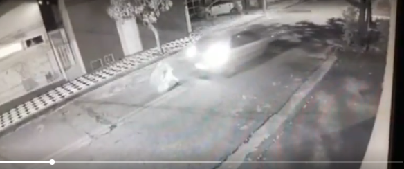 Jovem é atropelado ao salvar cachorro da família; veja imagens Jovem é atropelado ao salvar cachorro da família; veja imagens