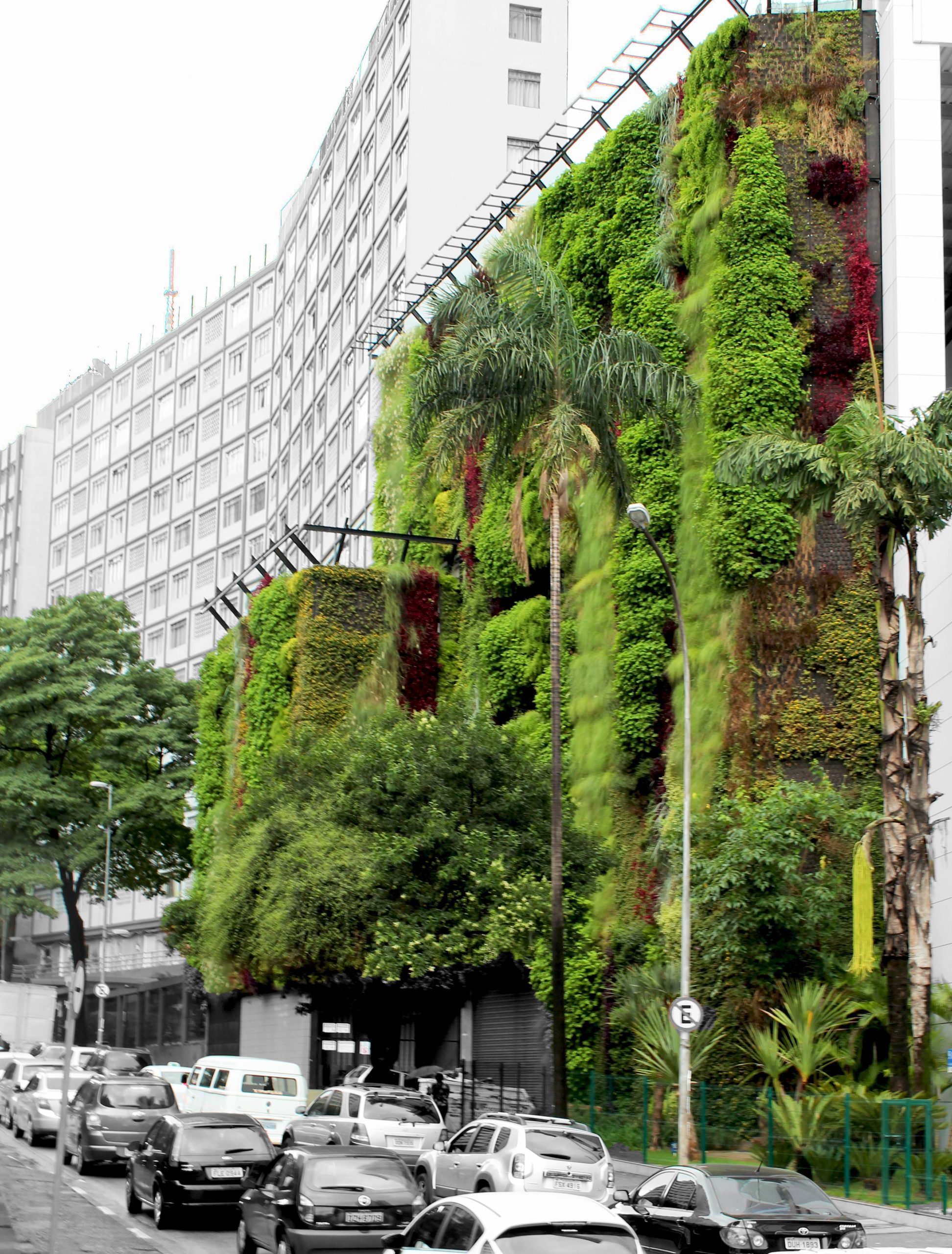 Marca piracicabana, líder em paisagismo vertical, lança crowdfunding neste sábado (28)