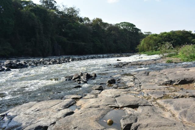 Rio Piracicaba sofre com baixa vasão e pedras aparecem; veja fotos