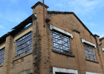 Foto: Gustavo Alves de Oliveira / PIRANOT