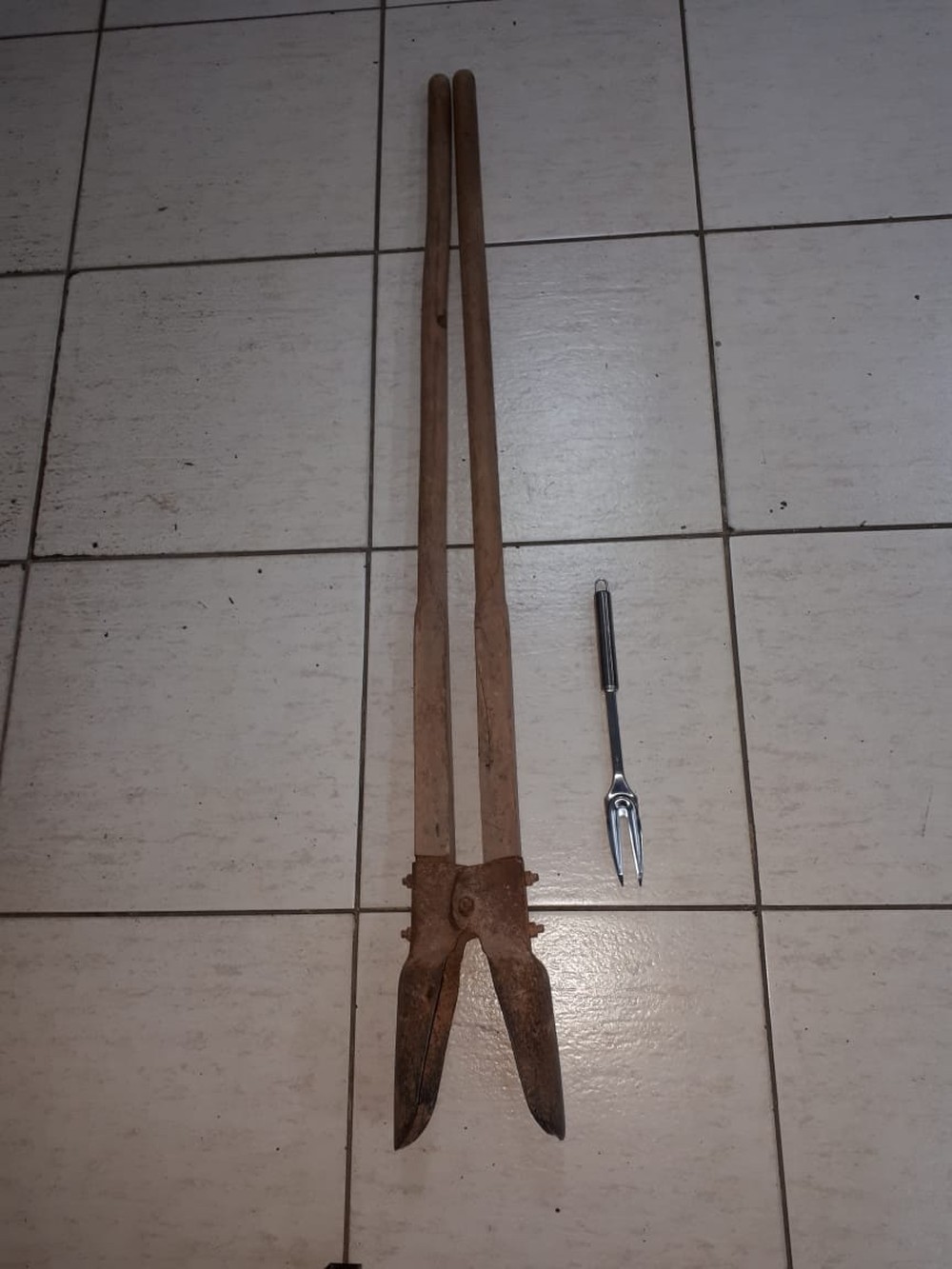 Homem é preso após tentar matar a mãe com golpes de cavadeira