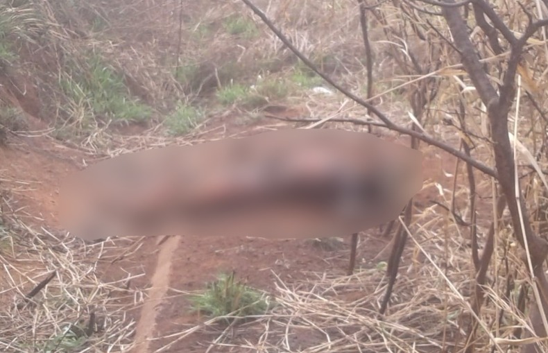 Corpo de mulher é encontrado queimado nesta tarde (05)