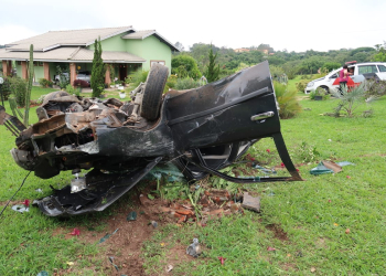 Foto: Gustavo Alves de Oliveira / PIRANOT