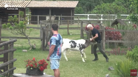A Fazenda: Viny brinca com o bezerro