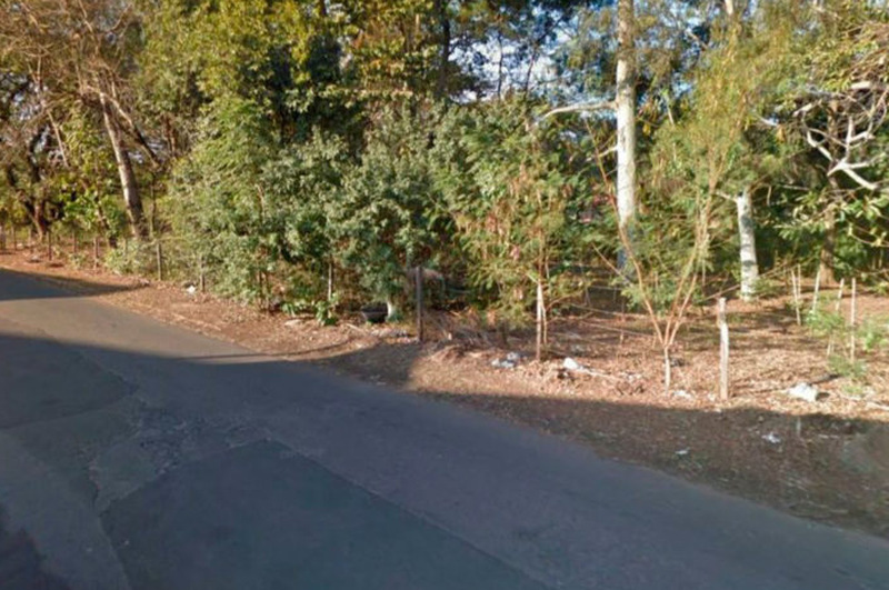 Morador de rua é encontrado morto em área verde às margens de avenida