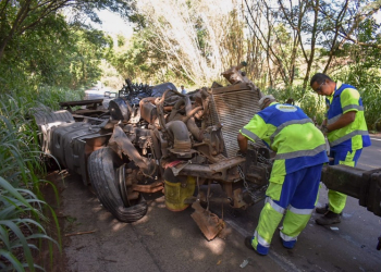 Foto: Wagner Romano / Jornal PIRANOT