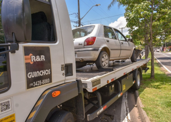 Foto: Wagner Romano / Jornal PIRANOT