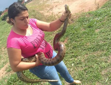 Mulher captura sozinha sucuri de dois metros durante passeio com a família