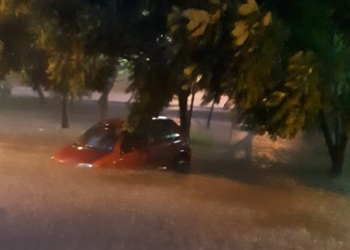 Foto: Você no PIRANOT