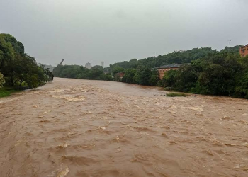 Foto: Wagner Romano / Jornal PIRANOT
