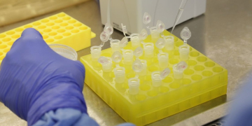 Foto: Divulgação/Josué Damacena