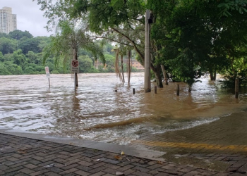 Foto: Junior Cardoso / PIRANOT