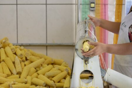 Festa do Milho Verde de Tanquinho é cancelada por causa da COVID-19