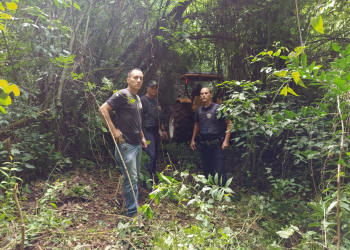 Foto: Guarda Civil de Piracicaba